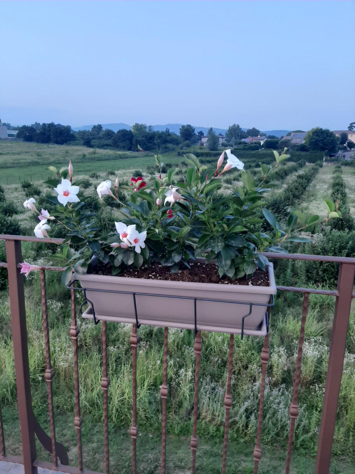 Bed And Breakfast Ca Tognella Pescantina Luaran gambar