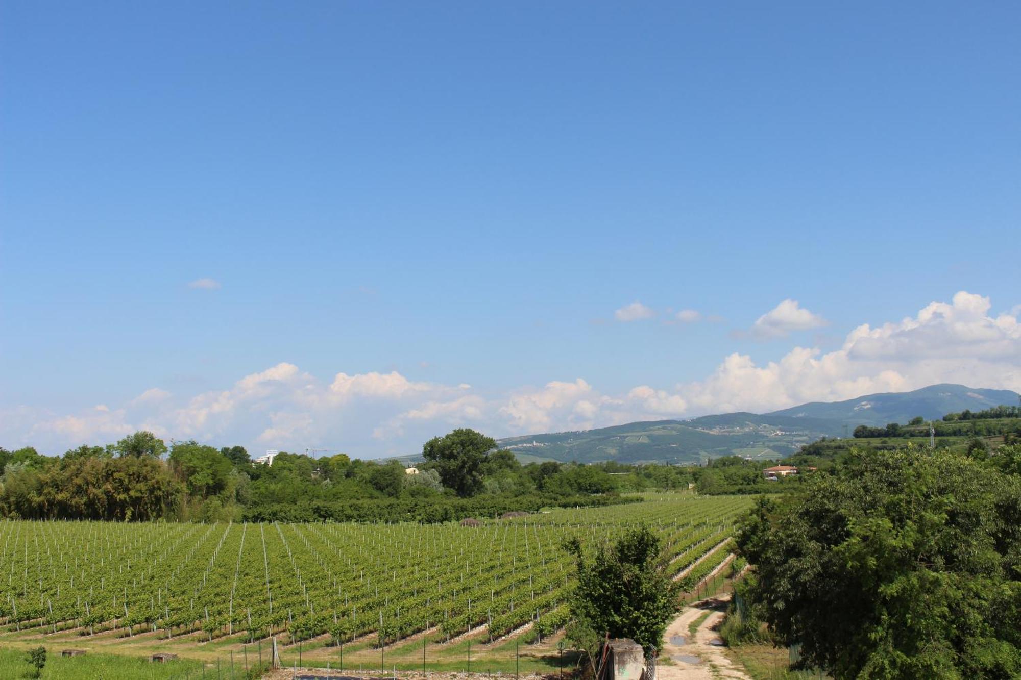 Bed And Breakfast Ca Tognella Pescantina Luaran gambar